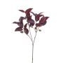 Rama artificial de eucalipto VIZIMIR con frutos, rojo burdeos, 80 cm