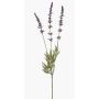Flor artificial lavanda TORNE, violeta, 65 cm