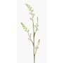 Flor artificial Montbretia KATHERYN, crema, 90 cm