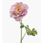 Flor artificial ranúnculo KRISTY, lila-crema, 60 cm, Ø 10 cm