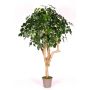 Schefflera decorativa SOLIDA, tronco real, verde, 175 cm - Fabricado en Italia