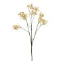 Gipsófila artificial LITAGO, aspecto seco, beige, 70 cm, Ø 1,5 cm
