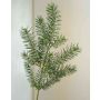 Rama artificial de abeto Nordmann FIRAT, 50cm