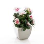 Azalea sintética TABITA tiesto de cerámica, blanco-rosa, 25cm, Ø2-6cm