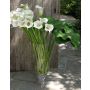 Calas artificiales SHANNON, jarrón decorativo, blanco, 90cm, 8x14cm