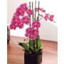Orquídea de plástico Phalaenopsis XIUMARA, cesta de mimbre, rosa, 90cm