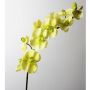 Orquídea Phalaenopsis simulación FIDELIA, amarillo-verde, 110cm, Ø7-12cm