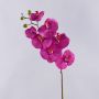Tallo de Orquídea Phalaenopsis sintética RICKY, fucsia, 105 cm