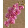 Tallo de Orquídea Phalaenopsis sintética RICKY, fucsia, 105 cm