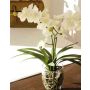 Orquídea Vanda artificial JIA, en jarrón de cristal, crema-blanca, 50cm
