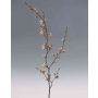 Rama de flor de peral artificial JENDRIK, albaricoque, 100cm