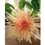 Crisantemo artificial ALANNAH, rosa palo, 85cm, Ø8-12cm