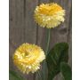 Bellis artificial FENIA, amarillo, 25cm