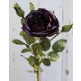 Rosa repollo falsa OLIVERA, morado oscuro, 30cm, Ø9cm