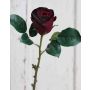 Rosa de terciopelo VASCA, burdeos, 50cm, Ø6cm