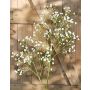 Gypsophila artificial JOSEPHINE, blanco, 65cm