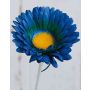 Flor de plástico Gerbera LEVKE, azul-amarillo, 55cm