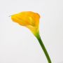 Calla artificial SUSANA, naranja, 70cm, 8x12cm