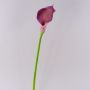 Cala artificial TERESA, violeta, 70cm, 10x18cm