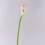 Cala artificial TERESA, blanco-rosa, 70cm, 10x18cm