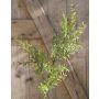 Rama artificial de Asparagus sprengeri CRISTIANO, 80cm