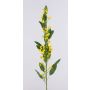 Euphorbia polychroma artificial FILIPPE con flores, amarillo, 105cm