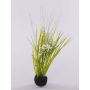 Ornithogalum artificial MANFREDO, bola de tierra, blanco, 40cm