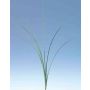 Planta hierba de plástico MOHANA en vara de ajuste, 65cm