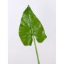 Hoja de calla artificial FRANSCHESKA, verde, 70cm