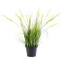 Planta de cola de zorro artificial GARY con panículas, verde, en maceta, 100cm