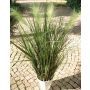 Hierba artificial de stipa PYKE con panículas, en maceta decorativa, verde, 120cm