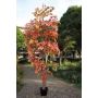 Arce artificial LOUNARD, tronco natural, rojo-amarillo, 330cm