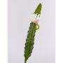 Cactus artificial Reina de la Noche DOMENICA, flor, blanco, 50cm