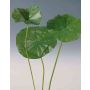 Hoja de nenúfar artificial DOMENIK, verde, 105cm