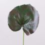 Hoja de geranio artificial HEIDEGARD, verde-rojo, 38cm, Ø14cm