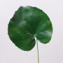 Hoja de geranio artificial HEIDEGARD, verde, 38cm, Ø14cm
