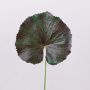 Hoja de geranio artificial HEIDEGARD, verde-rojo, 38cm, Ø13cm