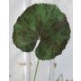Hoja de geranio artificial HEIDEGARD, verde-rojo, 38cm, Ø13cm