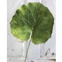 Hoja de geranio artificial HEIDEGARD, verde, 38cm, Ø13cm