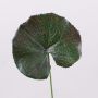Hoja de geranio artificial HEIDEGARD, verde-rojo, 38cm, Ø11cm
