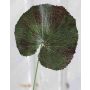 Hoja de geranio artificial HEIDEGARD, verde-rojo, 38cm, Ø11cm