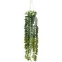 Colgante decorativo Columnea Flor colgante SEHNDAS en maceta decorativa, verde, 85 cm