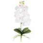Flor decorativa Phalaenopsis Orquídea DRINTOR, varilla, raíces, blanca, 40 cm