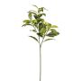 Rama artificial laurel KROVAN, verde, 65 cm