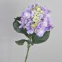 Hortensia falsa ANGELINA, violeta claro, 70cm, Ø23cm
