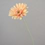 Gerbera con tallo artificial VIRGINIA, crema-rosa, 55cm, Ø11cm