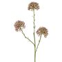 Rama decorativa de allium ALIKIO, lila, 65cm, Ø7cm