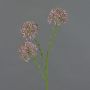 Rama decorativa de allium ALIKIO, lila, 65 cm, Ø 6,5 cm