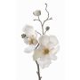 Rama de magnolia artificial MALBINE, crema, 50cm, Ø6-10cm