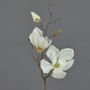Rama de magnolia artificial MALBINE, crema, 50cm, Ø6-10cm
